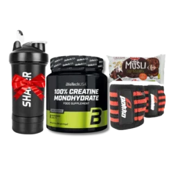 Pack Creatine Monohydrate Micronisee 300g – BiotechUSA