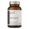 OstroVit Shilajit 90 Capsules