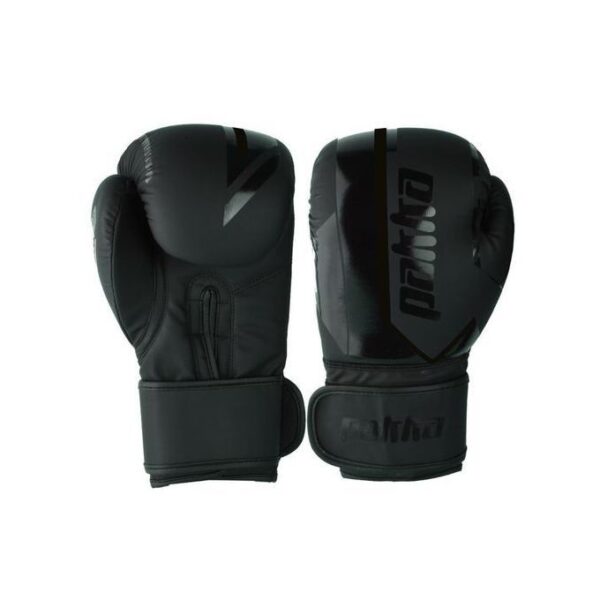 Gants de Boxe Pakka